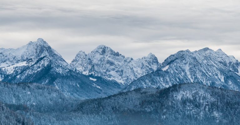 Comprendre l’écotourisme : un voyage responsable au cœur de la nature