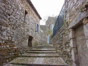 découvrez les cévennes, un magnifique parc national en france, célèbre pour ses paysages verdoyants, ses sentiers de randonnée et son patrimoine culturel riche. explorez la nature préservée, admirez la faune et la flore exceptionnelles, et plongez dans l'histoire des villages pittoresques qui jalonnent cette région incontournable.