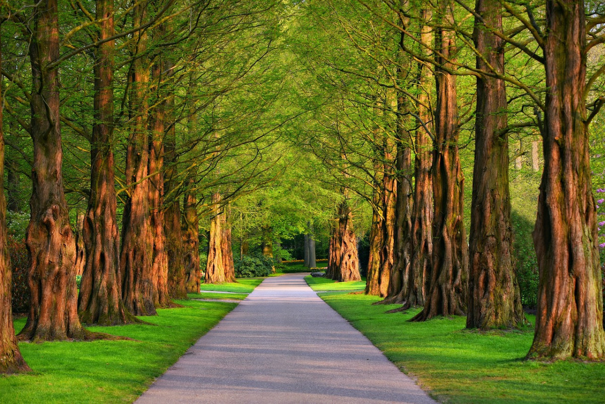 explorez la beauté sauvage des parcs naturels, où la faune et la flore s'épanouissent en harmonie. découvrez des paysages à couper le souffle, des randonnées inoubliables et des expériences uniques en pleine nature. partez à l'aventure et reconnectez-vous avec l'environnement dans ces refuges préservés.