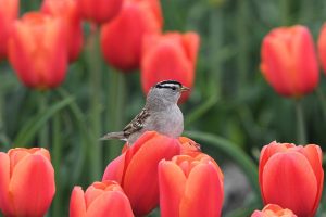 découvrez les festivals en plein air les plus captivants, où la musique, la nature et la convivialité se mêlent pour créer des expériences inoubliables. rejoignez-nous pour célébrer la culture et la joie en plein air!