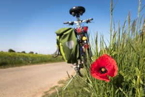 découvrez une variété d'activités de plein air passionnantes et revigorantes, allant de la randonnée à l'escalade, en passant par le camping et les sports nautiques. parfait pour les amateurs d'aventure en quête d'évasion et de nature.