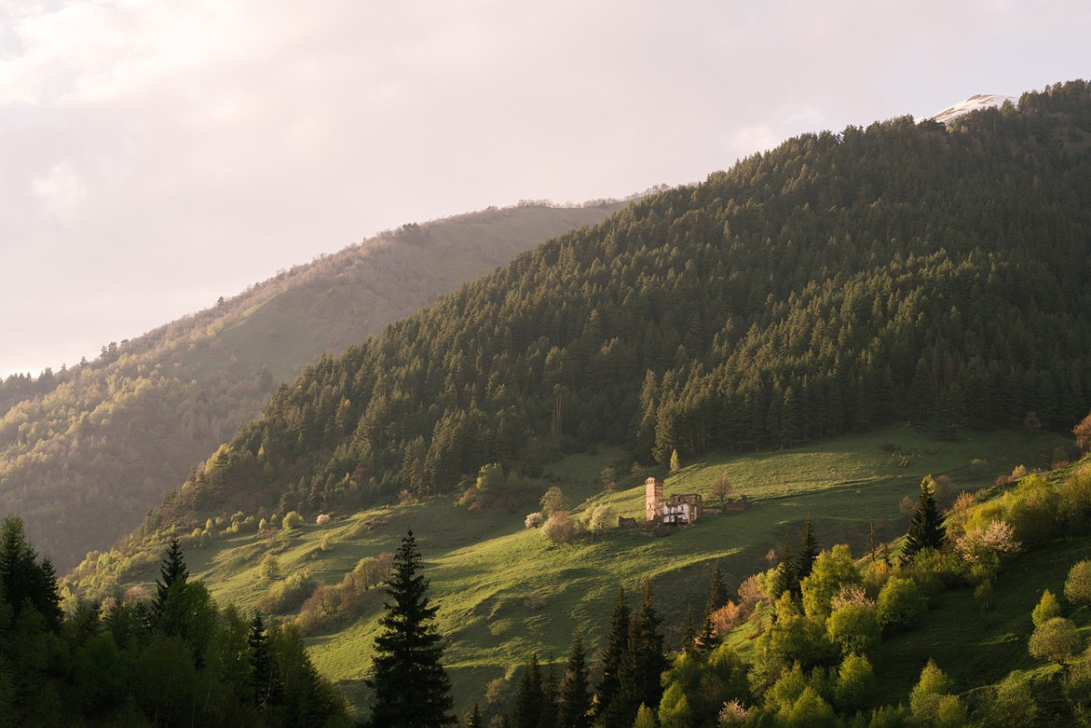 découvrez les pays les plus accueillants pour les touristes, offrant des paysages magnifiques, une riche culture et une hospitalité inégalée. explorez les meilleures destinations pour vos prochaines vacances!