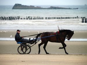 découvrez les plus belles plages du monde, idéales pour des vacances de rêve. plages de sable fin, eaux cristallines et paysages à couper le souffle vous attendent pour des moments inoubliables en bord de mer.