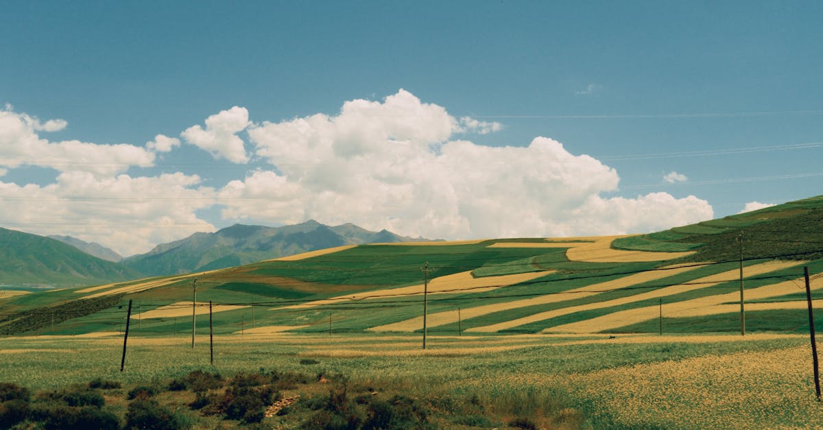 découvrez des paysages à couper le souffle qui inspirent émerveillement et sérénité. explorez des panoramas époustouflants, des montagnes majestueuses aux plages ensoleillées, et laissez-vous envoûter par la beauté naturelle qui entoure notre planète.