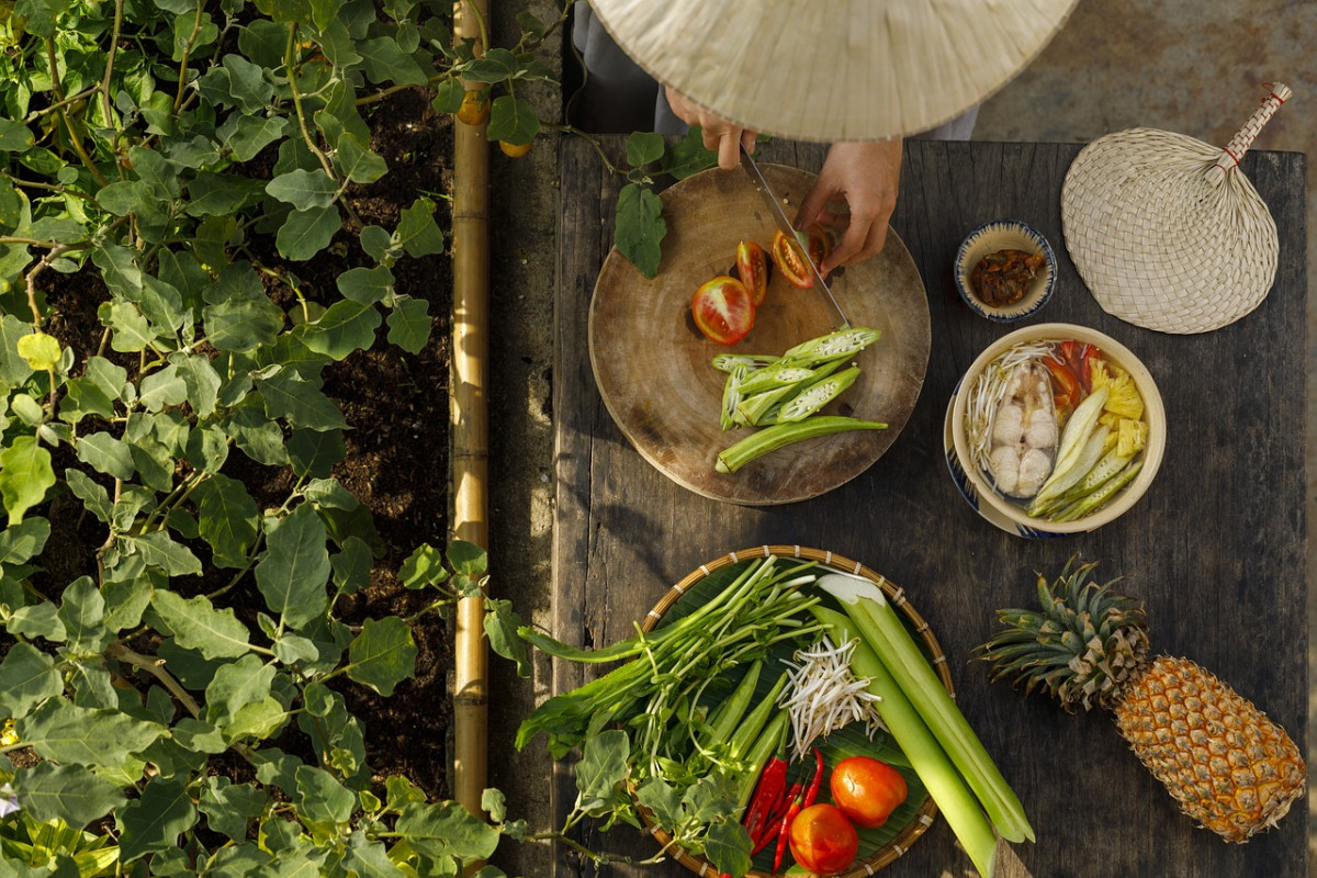 découvrez les festivals de cuisine où la gastronomie et la culture se rencontrent. participez à des ateliers culinaires, dégustez des plats savoureux et rencontrez des chefs renommés lors d'événements festifs célébrant la passion de la cuisine.