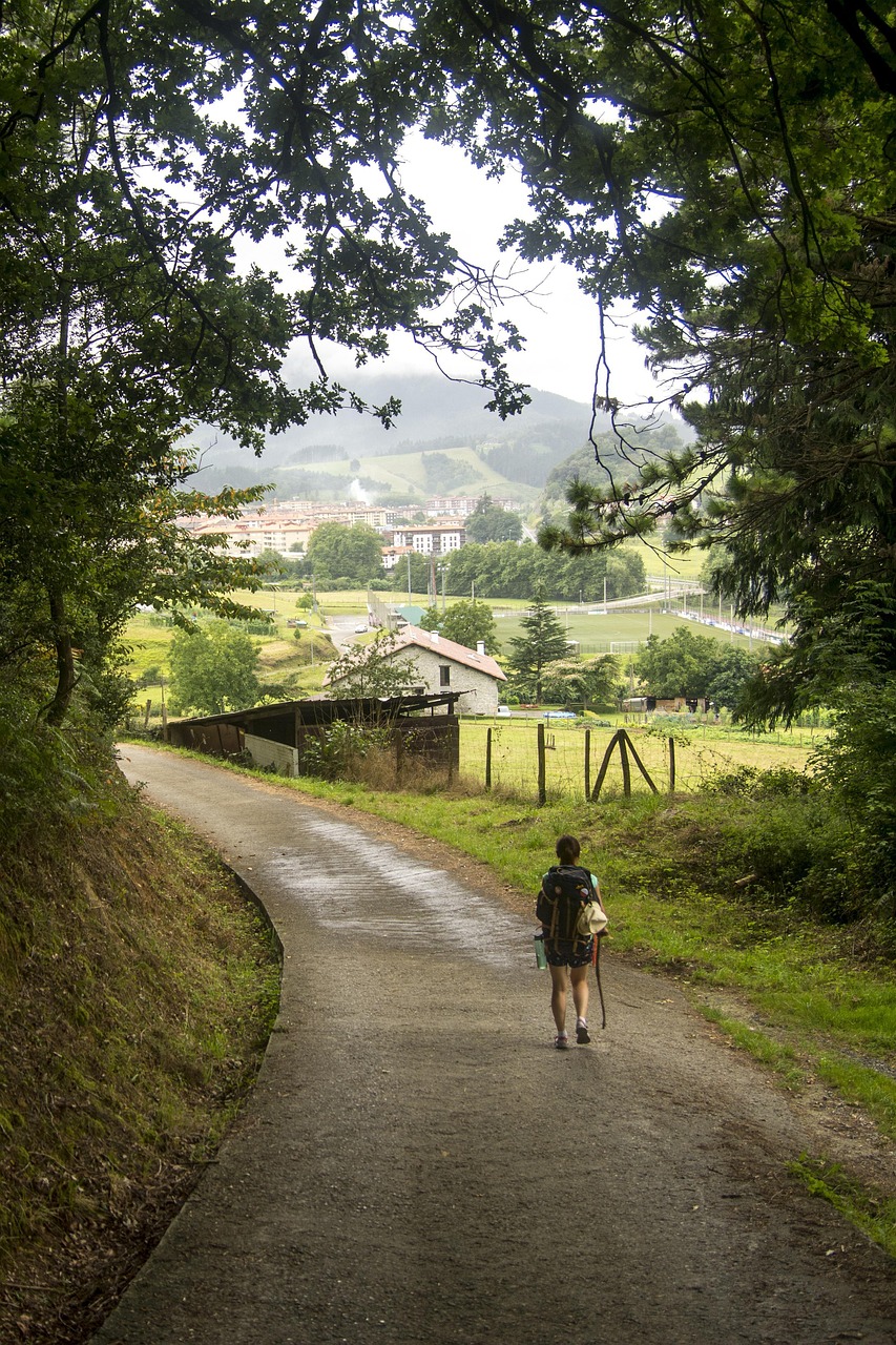 découvrez des sentiers de randonnée à couper le souffle, explorez la nature et profitez d'une aventure en plein air inoubliable. que vous soyez débutant ou expert, trouvez l'itinéraire parfait pour vos escapades en montagne.