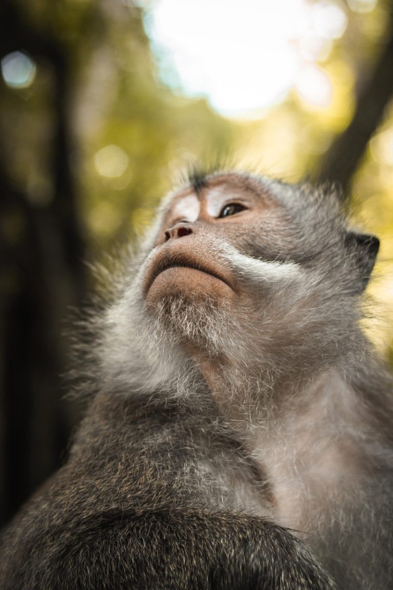 Découvrir la faune et la flore lors de vos sorties en nature