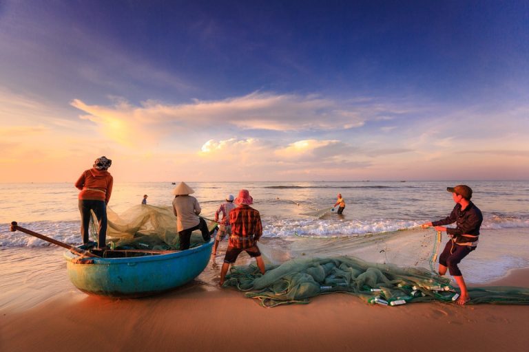 Les meilleures destinations pour la pêche en plein air