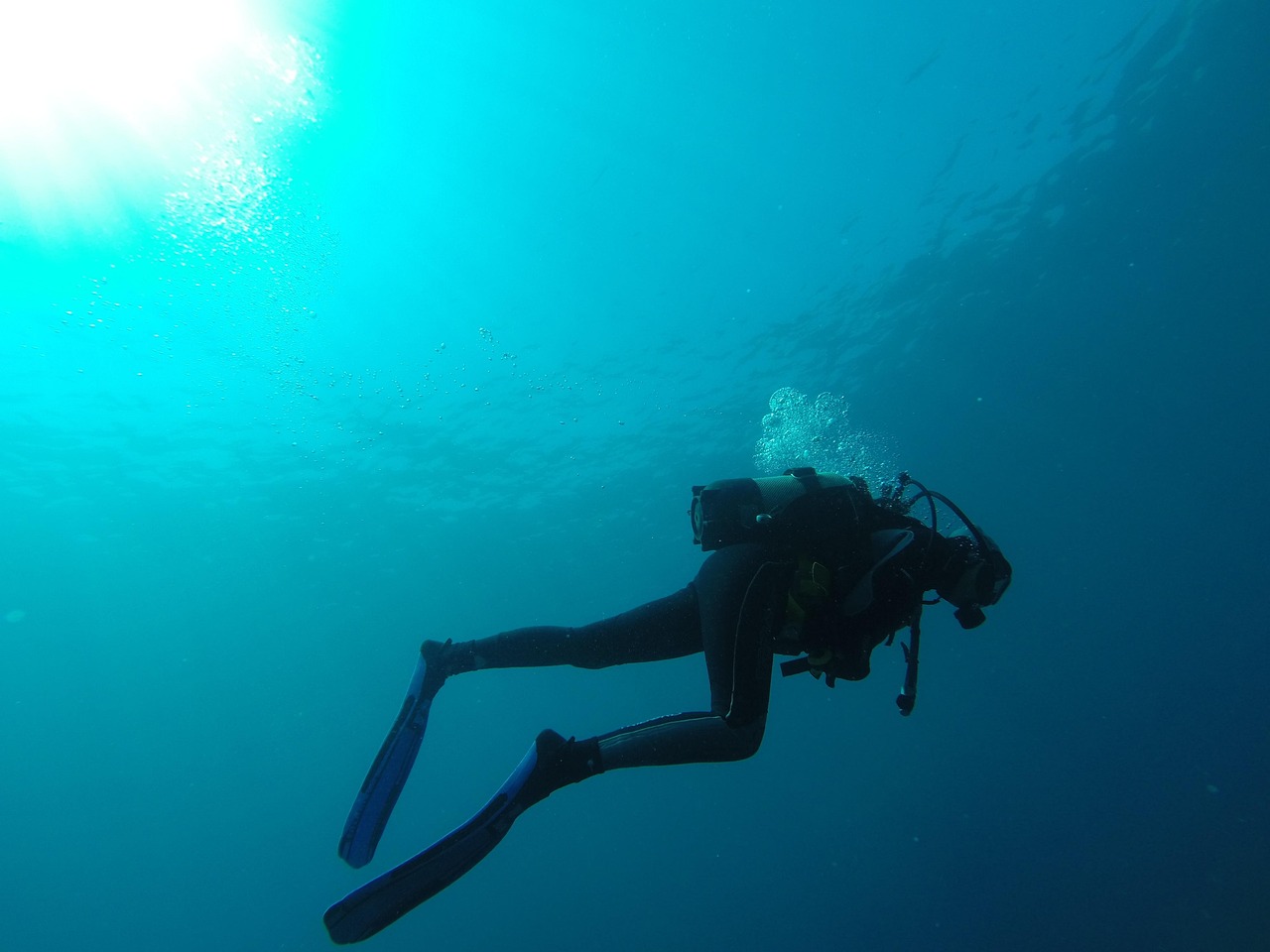 découvrez les meilleures destinations de plongée à travers le monde, où les récifs coralliens colorés, la faune marine fascinante et des paysages sous-marins époustouflants vous attendent. plongez dans des aventures inoubliables et explorez les merveilles cachées des océans.