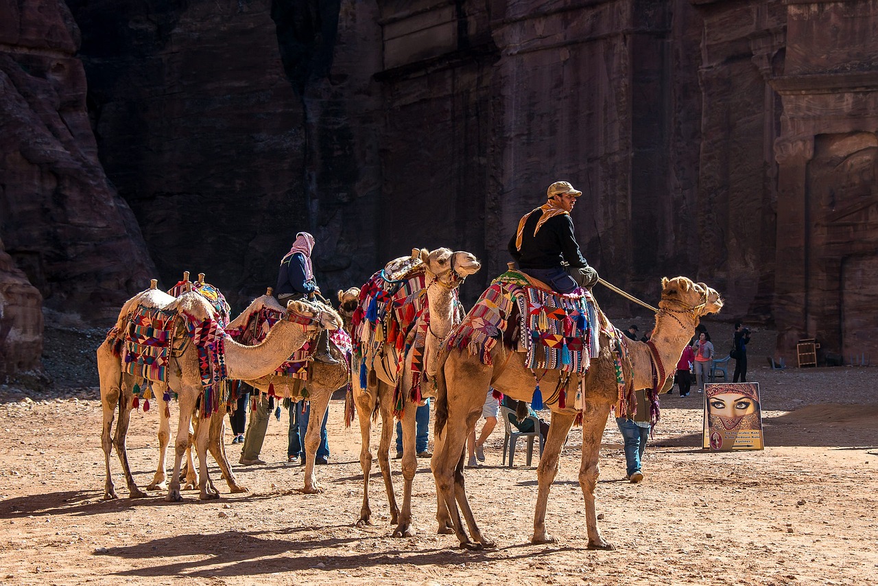 découvrez le tourisme culturel, une expérience enrichissante qui vous plonge dans l'histoire, les traditions et les arts d'une destination. explorez les musées, les festivals et les communautés locales tout en vous immergeant dans la richesse des cultures du monde entier.