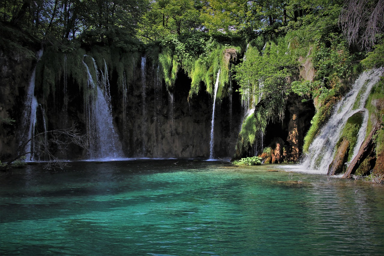 découvrez l'écotourisme : une aventure responsable qui allie exploration de la nature, respect de l'environnement et immersion dans les cultures locales. optez pour des voyages durables et enrichissants tout en préservant notre planète.