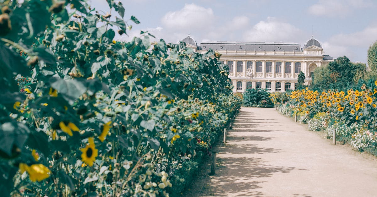 découvrez les routes du patrimoine, une invitation à explorer des paysages extraordinaires et à plonger dans l'histoire. parcourez ces itinéraires emblématiques qui relient culture, architecture et nature.