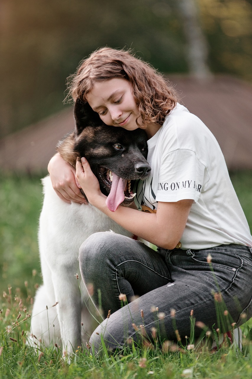 découvrez nos conseils essentiels pour voyager avec votre animal de compagnie. préparez votre voyage en toute sérénité et assurez le confort et la sécurité de votre fidèle compagnon grâce à nos astuces pratiques et recommandations.