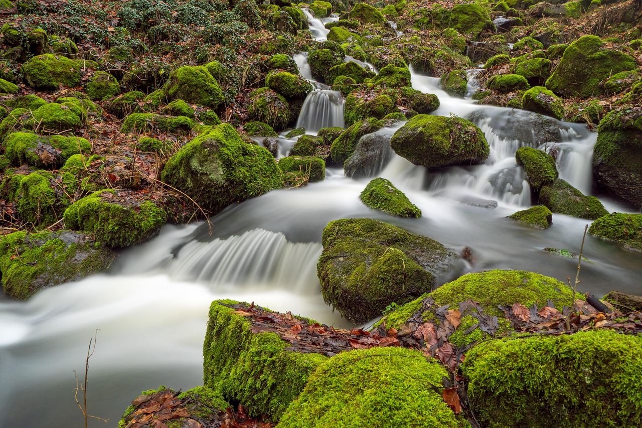 découvrez l'importance de l'eau, source de vie essentielle pour notre planète. explorez ses bienfaits, ses usages quotidiens et les enjeux liés à sa préservation. apprenez comment l'eau influence notre environnement et notre santé.